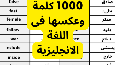 1000 كلمة وتضادها في اللغة الانجليزية pdf