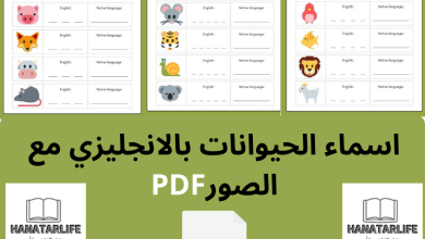 اسماء الحيوانات بالانجليزي مع الصورPDF