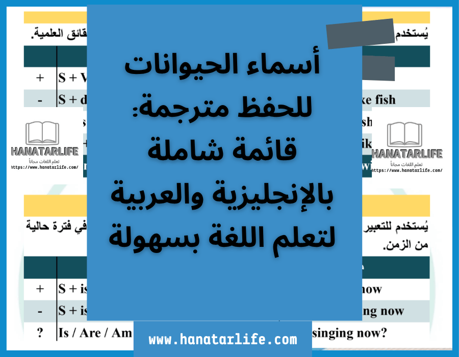 أسماء الحيوانات للحفظ مترجمة: قائمة شاملة بالإنجليزية والعربية لتعلم اللغة بسهولة