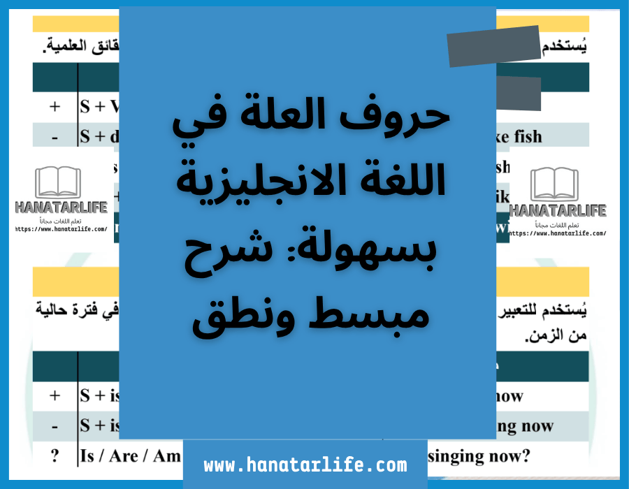 حروف العلة في اللغة الانجليزية بسهولة: شرح مبسط ونطق
